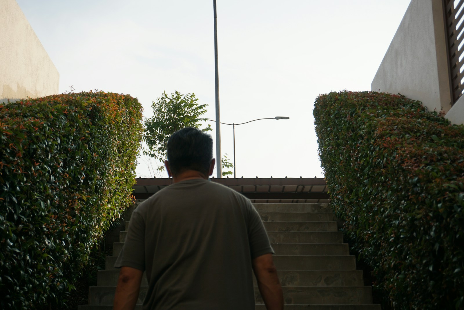 man in gray polo shirt standing near green bush during daytime